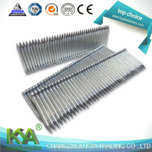 Galvanized St Nails for Construction and Packaging